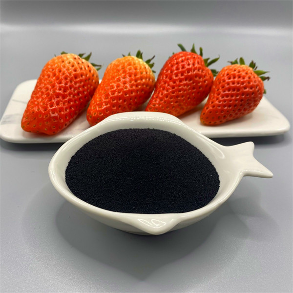 Organic Fertilizer For Strawberries Total Water-Soluble Seaweed Extract natural fertilizer for strawberry plants
