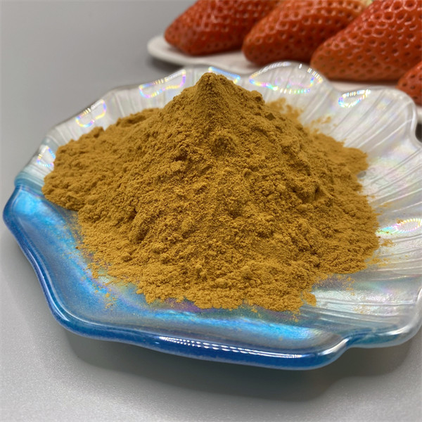 Chitosan Oligosaccharide Light Brown 95% Deacetylation Water Soluble Chitosan Powder