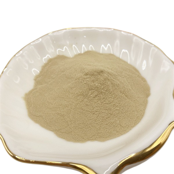 Light Brown Powdered Total Amino Acid For Enhanced Plant Growth